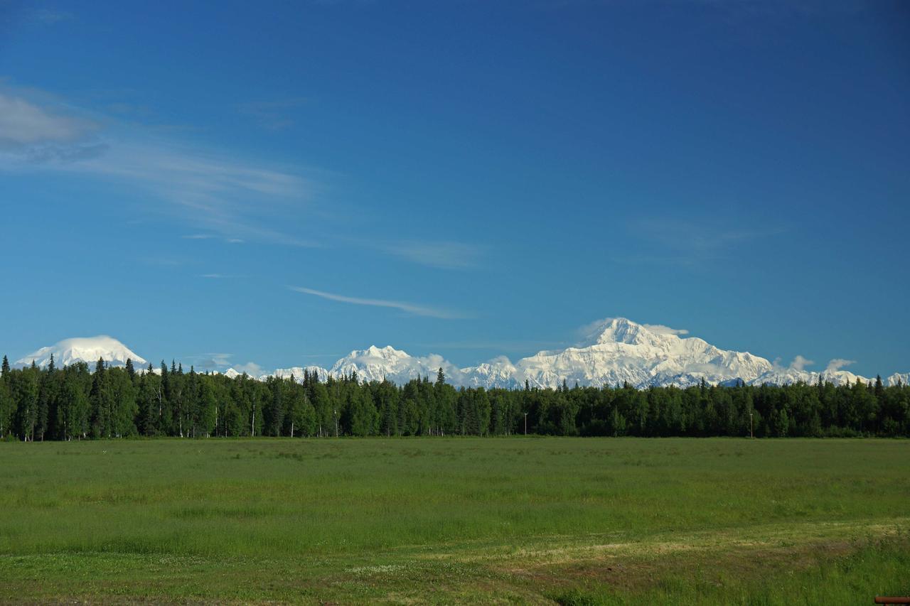Mckinley View B&B Trapper Creek Eksteriør billede